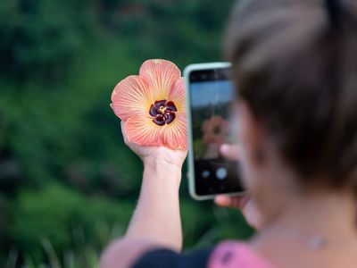 PARTICIPA EN EL II CONCURSO DE FOTOGRAFÍA AMBIENTAL DEL COLEGIO CISNEROS 